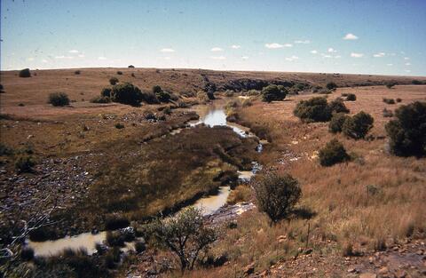 Open original Digitaal object