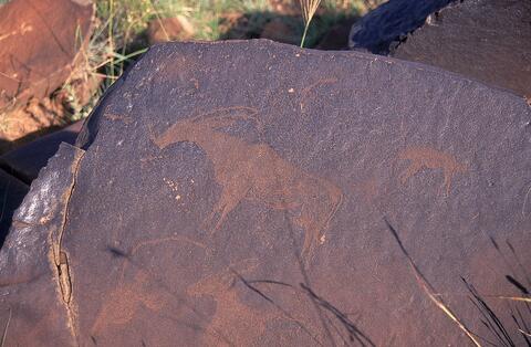 Open original Digital object