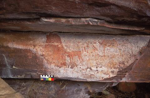 Open original Digital object