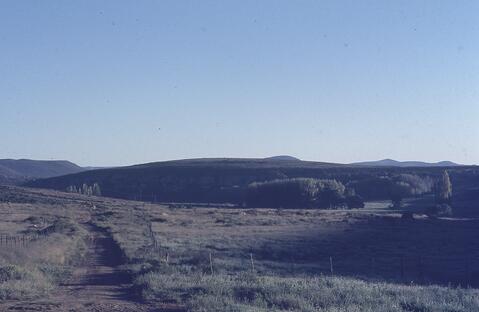 Open original Digitaal object