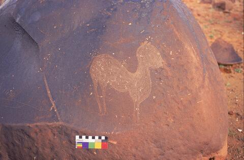 Open original Digital object