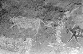 RARI RSA VEN1 7P