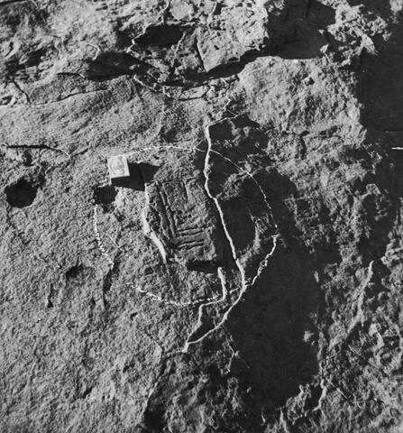 Open original Digitaal object