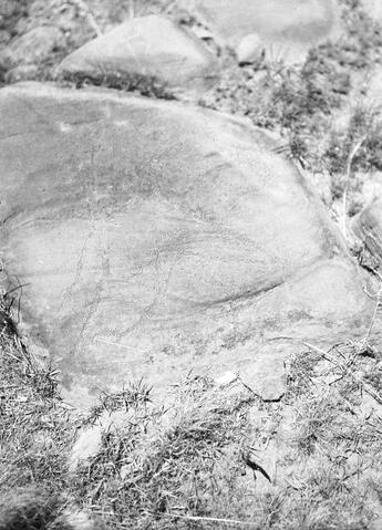 Open original Digitaal object