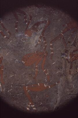 RARI RSA HAE1 41