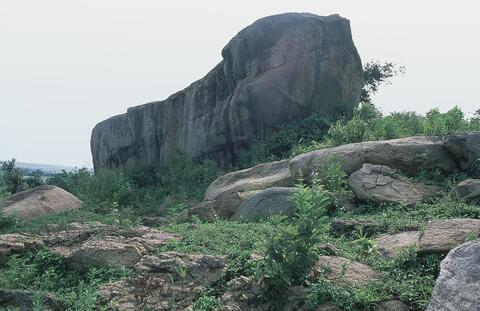 Open original Digital object