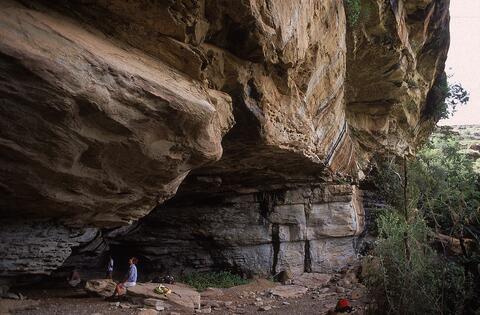 Open original Digital object