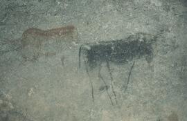 RARI RSA FEN1 3