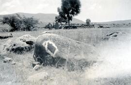 RARI RSA BOX1 8P