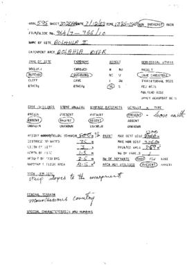 ARAL_SiteForm_Alfers,Joe_1982_ARAL595