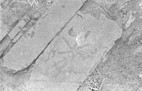 Open original Digitaal object