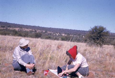 Open original Digital object