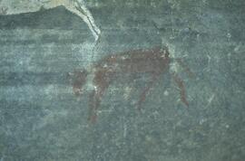 RARI RSA GEI1 51