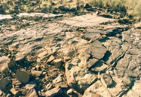 Open original Digital object