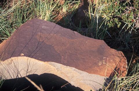 Open original Digital object