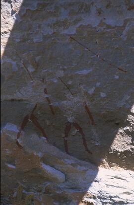 RSA PRH2 14