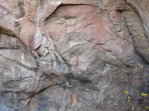 Open original Digital object