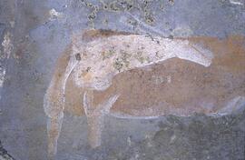 RARI RSA LOM1 16