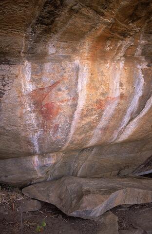 Open original Digital object