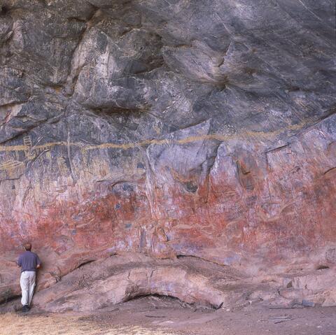 Open original Digital object