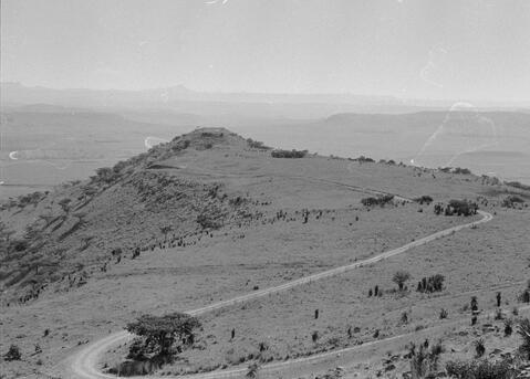 Open original Digitaal object