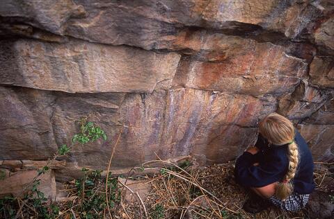 Open original Digital object