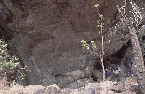 Open original Digital object