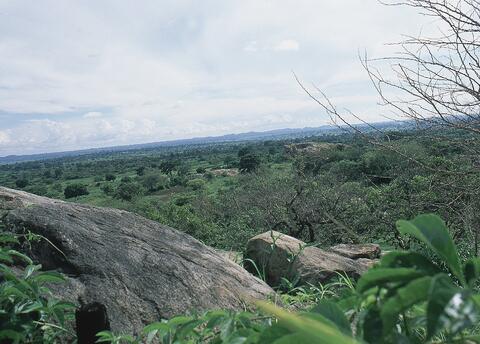 Open original Digital object