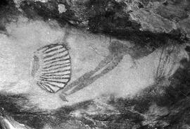 RSA NAR5 7P
