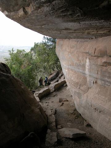 Open original Digital object