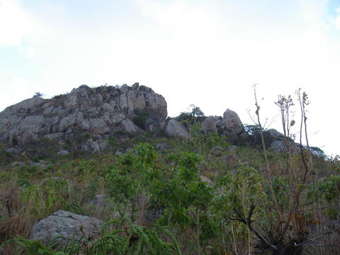 Open original Digitaal object