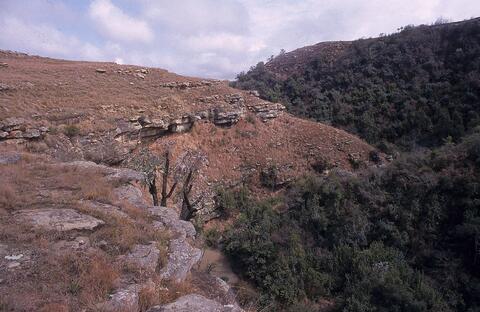 Open original Digital object