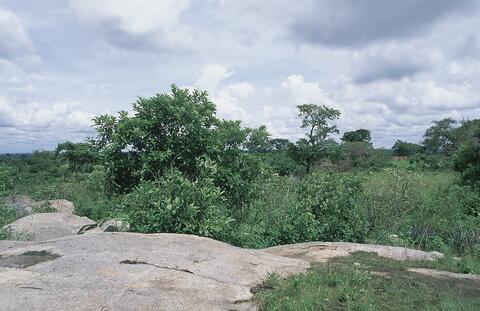 Open original Digital object