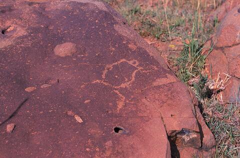 Open original Digital object