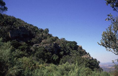 Open original Digitaal object