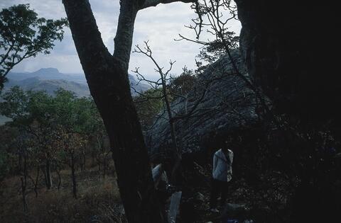 Open original Digital object