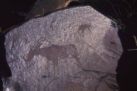 Open original Digital object