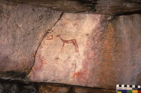 Open original Digital object