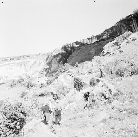 Open original Digital object