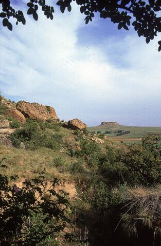 Open original Digital object