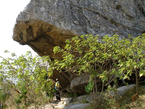 Open original Digital object