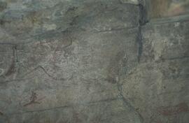 RARI RSA FRK1 22