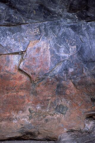 Open original Digital object