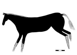 RARI RSA BOK1 1R