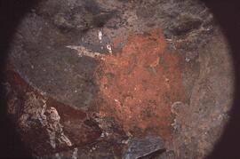 RARI RSA HAE1 44