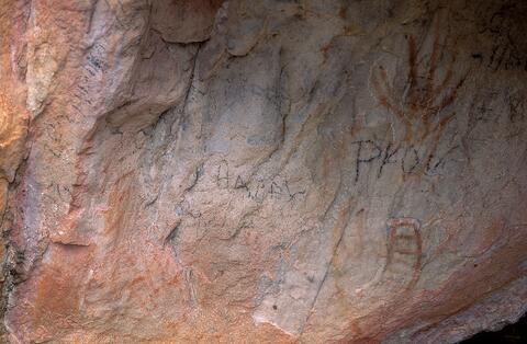 Open original Digital object