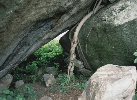 Open original Digital object