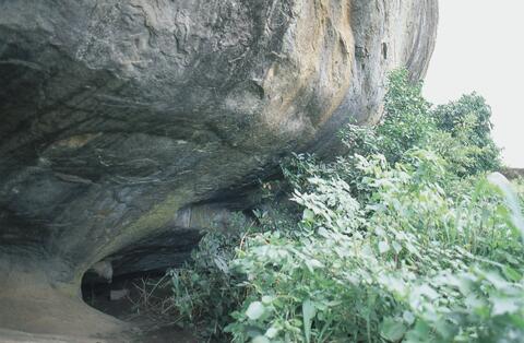 Open original Digital object