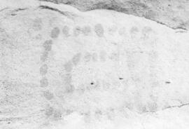 RARI RSA PAP7 4P