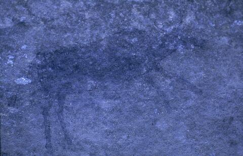 Open original Digitaal object